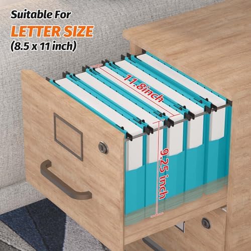 SHUTEX Extra Capacity Plastic Hanging File Folders,12 Pack, Letter, Blue - Image 3