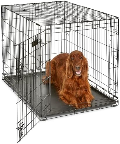 Midwest 42-Inch Single Door iCrate, for Large Breeds, 71-90 lbs - Image 2
