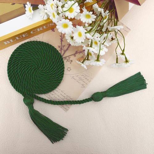 Honor Cords Green 20 PCS Graduation Cords Kente Colors Honors Cord for Graduation Ropes Grad Accessories 67" Long Braided Cord for Party Decorations Bachelor Gown - Image 2