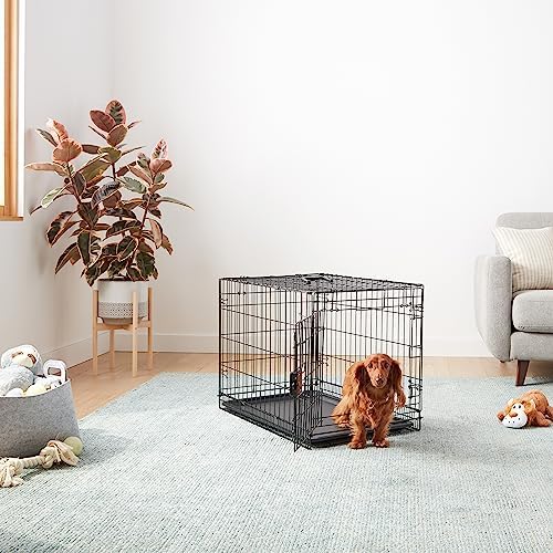 Amazon Basics Portable, Foldable Metal Wire Dog Crate with Removable Tray, Single Door, Divider Panel, Quick Setup, 30 x 19 x 21 in, Black - Image 5