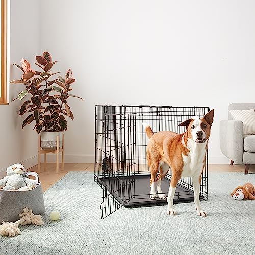 Amazon Basics Durable, Foldable Metal Wire Dog Crate with Removable Tray, Single Door, Divider Panel, 42 x 28 x 30 in, Black - Image 5