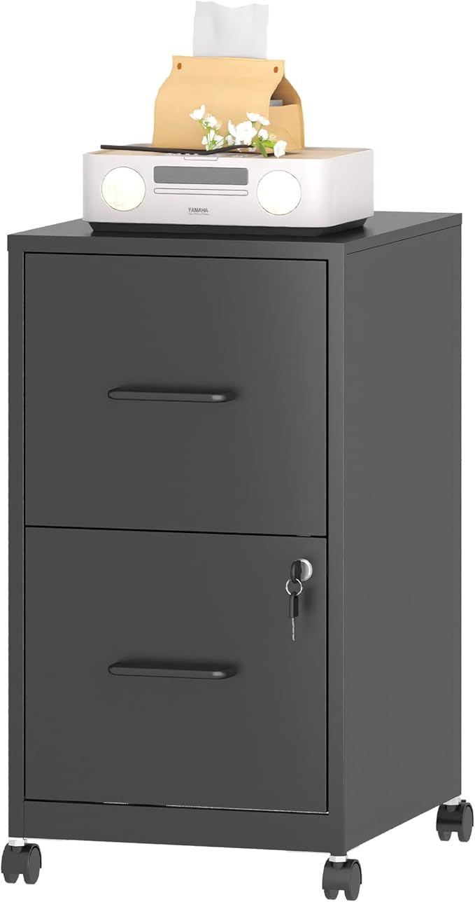 2 Drawer Mobile File Cabinet by EKJOfficials