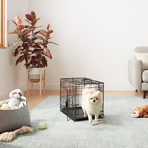 Amazon Basics Portable, Foldable Metal Wire Dog Crate with Removable Tray, Double Door, Divider Panel, Easy to Assemble, 22 x 13 x 16 in, Black - Image 5