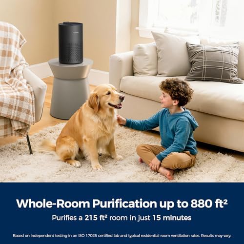 Purivortex Air Purifiers for Home, PX500 Black with Fragrance Sponge - Image 2