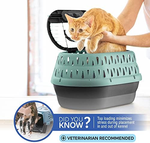 Petmate Top Load Plastic Cat Kennel, One-Door, 19in, Purple - Image 4