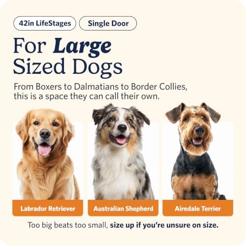 LifeStages by MidWest 42-Inch Single Door Crate, Large Breeds, 71-90 lbs - Image 2