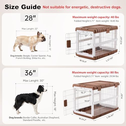 ZOMISIA 36" L Collapsible Dog Crate for Dogs, Heavy Duty Dog Kennel Indoor - Image 3