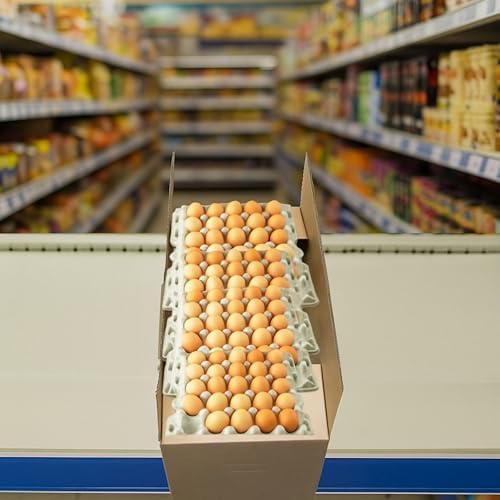 Corrugated Export Egg Boxes with Handles ECT32 - Fits 30 Dozen Eggs - 30 DZ Stock (NO EGGS) (75) - Image 5