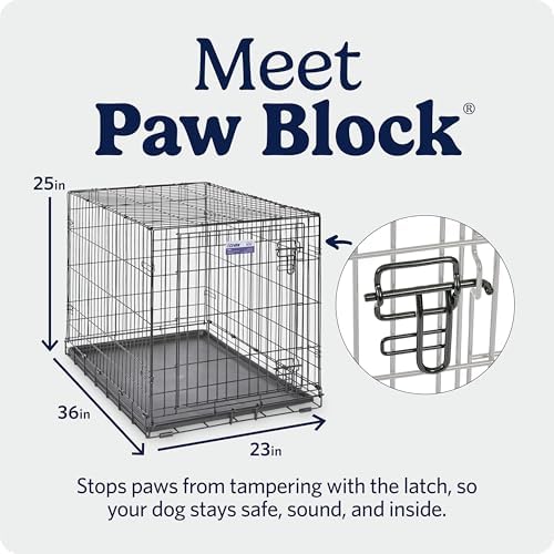 Midwest 36-Inch Single Door iCrate, for Medium-Large Breeds, 41-70 lbs - Image 4