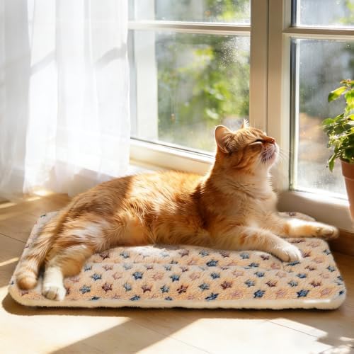 Mora Pets Cat Bed Ultra Soft Dog Crate Pad Star Print 14 x 17.5 inch Brown - Image 3