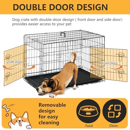 FDW | 36" Foldable Metal Dog Crate | Black | Cage for Medium Dogs - Image 4