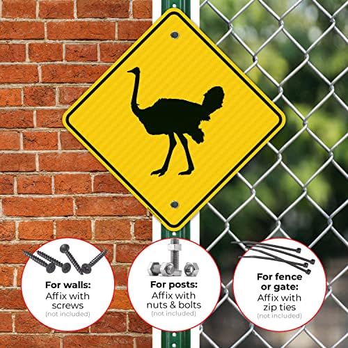 Ostrich Crossing with Graphic Sign, - Image 4
