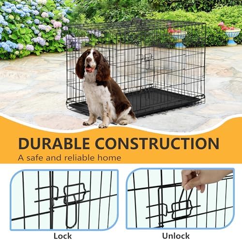 FDW | 36" Foldable Metal Dog Crate | Black | Cage for Medium Dogs - Image 3