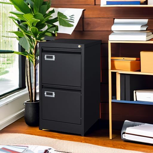 2 Drawer File Cabinet with Lock Metal Vertical Filing Storage Cabinet Office - Image 6