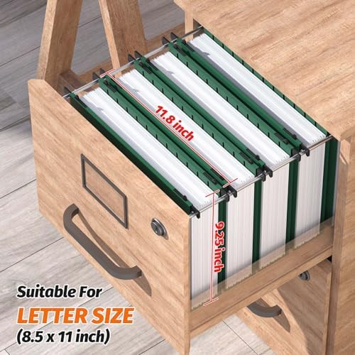 SHUTEX Plastic Hanging File Folder, 12 Pack, Letter Size, Green - Image 4