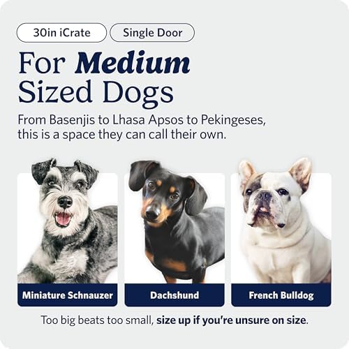 Midwest 30-Inch Single Door iCrate, for Medium Breeds, 21-40 lbs - Image 2