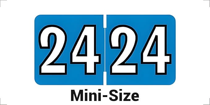 2024 MINI Year Labels, Doctor Stuff 2024 Chart Stickers, Colwell Jewel Tone by DoctorStuff