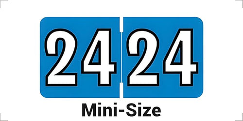 2024 MINI Year Labels, Doctor Stuff 2024 Chart Stickers, Colwell Jewel Tone by DoctorStuff