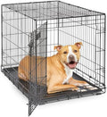 Midwest 36-Inch Single Door iCrate, for Medium-Large Breeds, 41-70 lbs by MidWestHomesForPets
