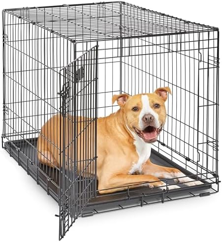 Midwest 36-Inch Single Door iCrate, for Medium-Large Breeds, 41-70 lbs by MidWestHomesForPets