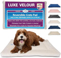Pet Dreams Dog Crate Pad - Washable Kennel Mat, Crate Pads for Dog Cages, Non-Toxic, Flat Indoor Cat Bed, Fits iCrate 18, 24, 30, 36, 42, 48 Inches (Ivory, Large, 36") by PetDreams