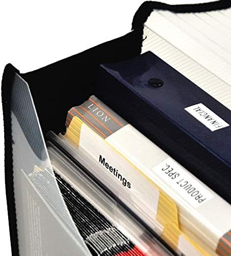 Lion Expand-N-File Poly Expanding Wallet, Legal, 16" x 10" x 0.5" (Max. Capacity 3"), Clear, 1ea. (48170-CR) - Image 4