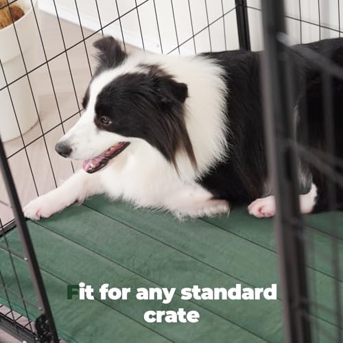 BALANCE Dog Crate Pad, Dog Foam Crate Mat Kennel Pad, Washable Water-Resistant Pet Bed Flat Dogs Cag Mat for XX-Large Dogs - Image 4