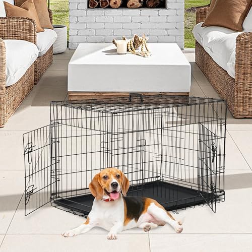 FDW | 36" Foldable Metal Dog Crate | Black | Cage for Medium Dogs - Image 2