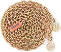 VEVOR Transport Binder Chain, 5/16''x20' Tow Chain with Grab Hooks, 4900lbs Safe Working Load, G80 Heavy Duty Chain, Logging Chain for Transporting Towing, Tie Down Binding Equipment by VEVOR