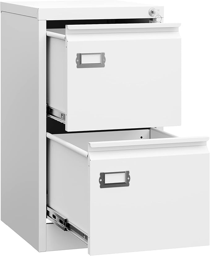 Letaya 2 Drawer File Cabinet by LetayaMetalCabinets