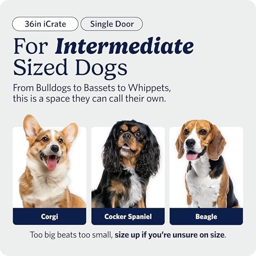 Midwest 36-Inch Single Door iCrate, for Medium-Large Breeds, 41-70 lbs - Image 2