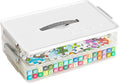 Portable Project Case Clear File Box by Vidifor