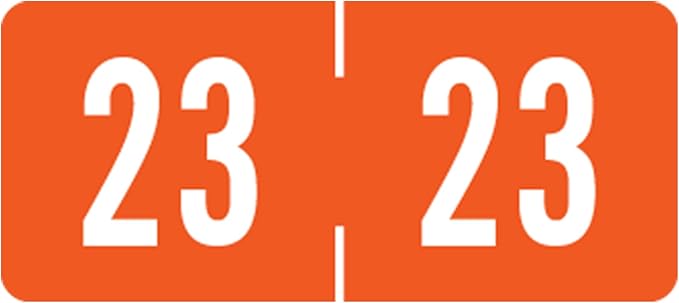 Doctor Stuff 2023 Year Stickers, Dark Orange, 1/2" x 1-1/8", Medical Folder by DoctorStuff