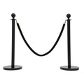 4 PCS Stanchion Posts with 2 Velvet Ropes, Stainless Steel Ball Top Poles by FIURSTUR