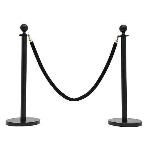 4 PCS Stanchion Posts with 2 Velvet Ropes, Stainless Steel Ball Top Poles by FIURSTUR