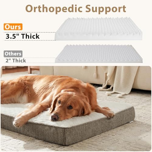 JOEJOY Orthopedic Dog Bed for Large Dogs, Washable Dog Crate Bed Large Sized with Removable Cover, Egg Memory Foam Big Pet Beds, Beige, 35"x22" - Image 5