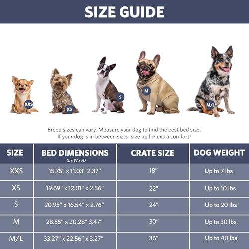 MidWest Homes for Pets QuietTime Fashion Dog Bed – Blue Faux Fur Bolster, Ultra-Soft and Machine Washable, Fits 30-Inch Crates and Carriers, for Medium Breed Dogs - Image 7