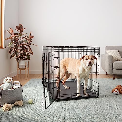 Amazon Basics Portable, Foldable Metal Wire Dog Crate with Removable Tray, Divider Panel, Easy to Assemble, for Large Dogs, 48 x 30 x 32.5 in, Black - Image 5