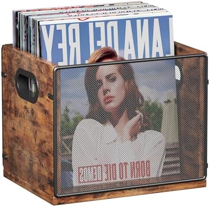Homeiju Wooden & Metal Record Crate - Vinyl Album Holder & Organizer, Holds Up to 60 Records - Image 2