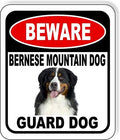 BEWARE BERNESE MOUNTAIN DOG GUARD DOG Aluminum Composite Outdoor Sign 15" x18" Metal Security Notice for Yard, Fence, Porch, Property, and Business – No Trespassing, Warning, Attack Dogs, Protection by WorkHouseSigns