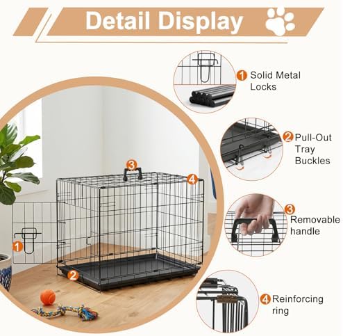FDW | 24" Foldable Metal Dog Crate | Black | Cage for Small Dogs - Image 5
