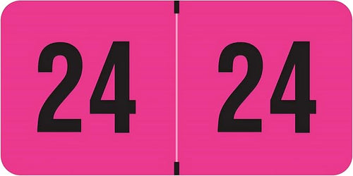 2024 Year Labels, Doctor Stuff 2024 Chart Stickers, Fluorescent Pink Color Coded by DoctorStuff