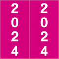 2024 Year Labels, Doctor Stuff 2024 Chart Stickers, Fuschia Color Coded by DoctorStuff