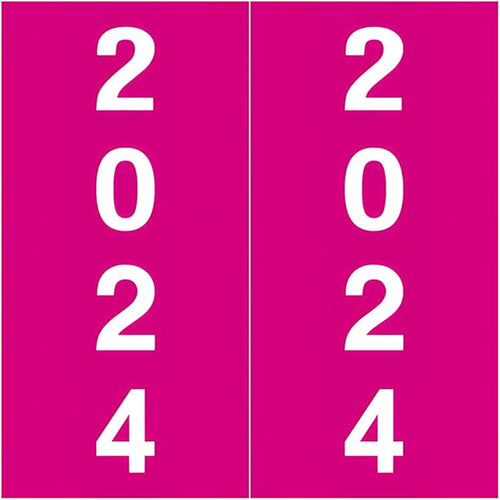 2024 Year Labels, Doctor Stuff 2024 Chart Stickers, Fuschia Color Coded by DoctorStuff