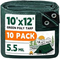 RAINDEWAY Green Tarp 10x12 Feet(10 Pack),5.5Mil Waterproof Poly Tarps Cover by RAINDEWAY