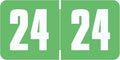 2024 Year Labels, Doctor Stuff 2024 Chart Stickers, Light Green Color Coded by DoctorStuff