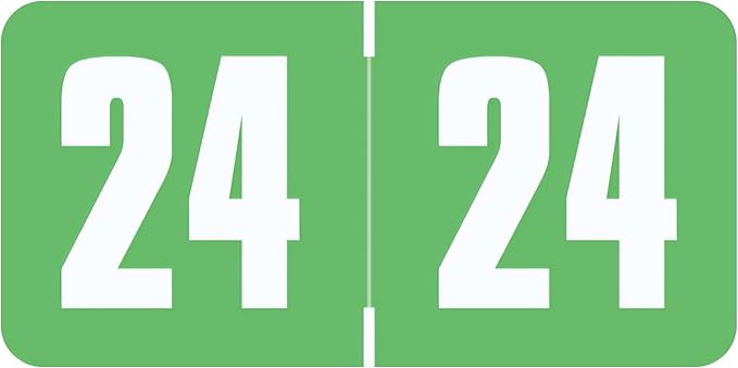 2024 Year Labels, Doctor Stuff 2024 Chart Stickers, Light Green Color Coded by DoctorStuff