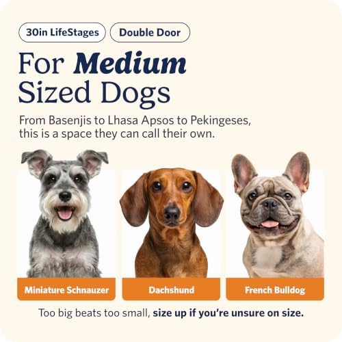LifeStages by MidWest 30-Inch Double Door Crate, Medium Breeds, 21-40 lbs - Image 3