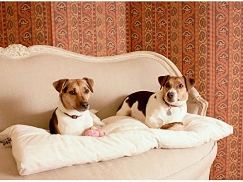 Pet Dreams Dog Crate Bed -ORIGINAL Kennel Mat since 1999- UNIQUE Reversible Portable & Washable Pad that NEVER Bunches! Soft Comfortable Sleeping Cushion, Cat Couch Bedding, Puppy House/Cage Supplies - Image 2