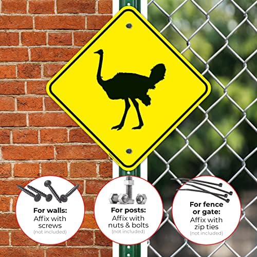 Ostrich Crossing with Graphic Sign, - Image 4